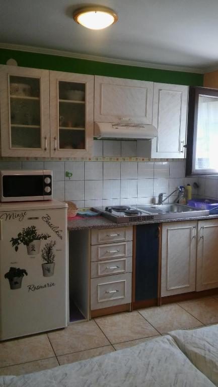 Opremljena kuhinja s mikrovalnom i sudoperom