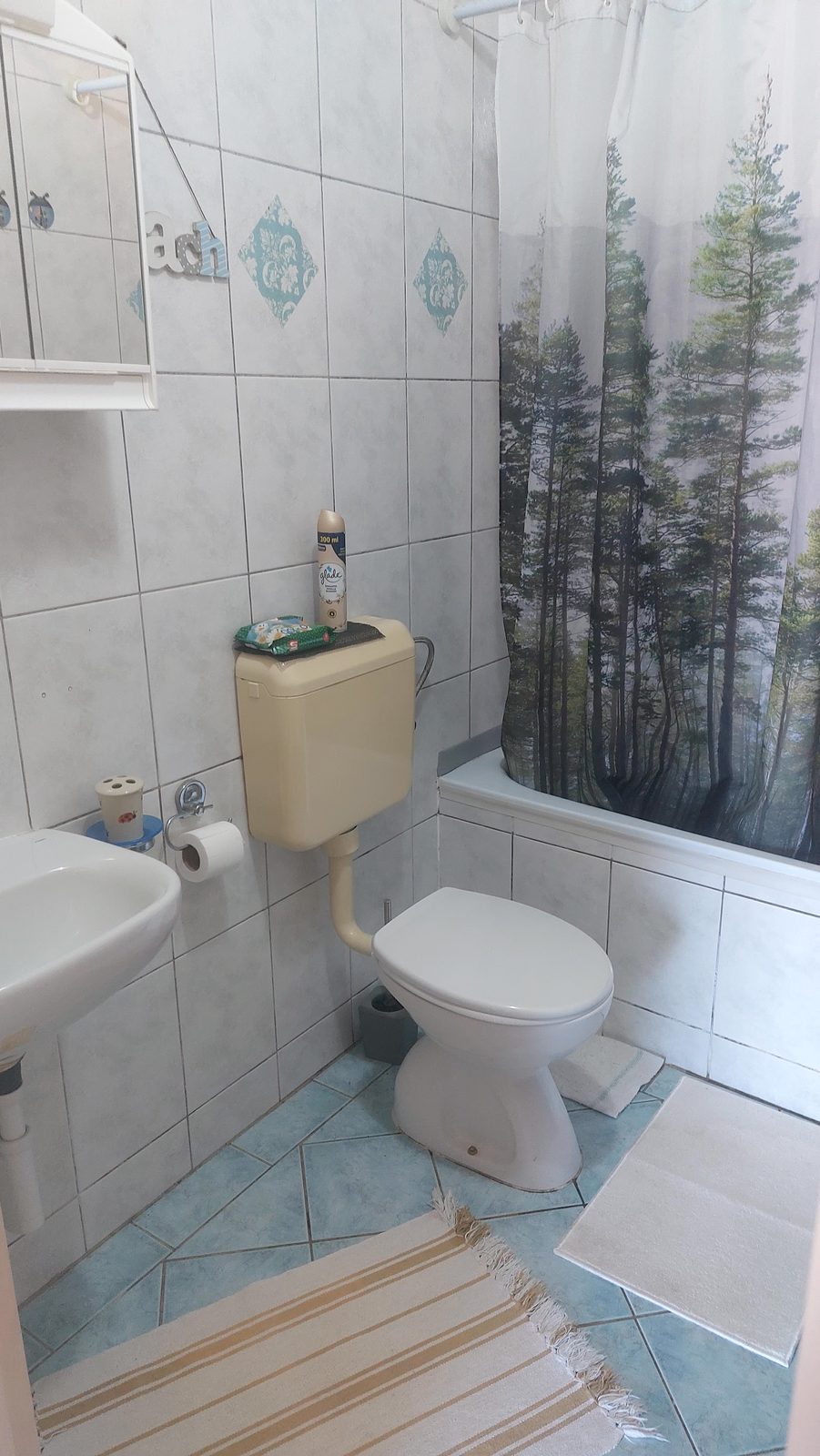 Kupaonica s kadom, tuš-zavjesom, WC-om i umivaonikom