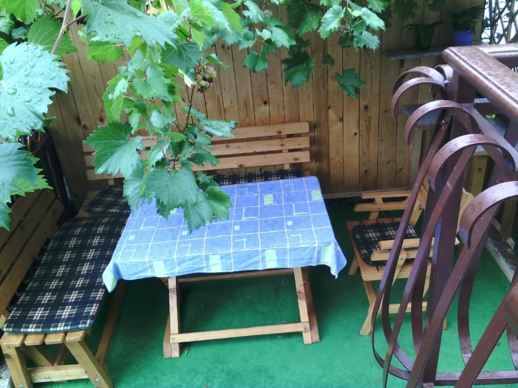 Stol za objede u sjeni vinove loze